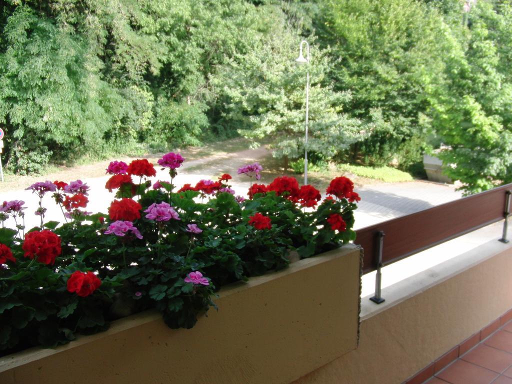 Appartementhaus Im Gruen Bad Bellingen Szoba fotó